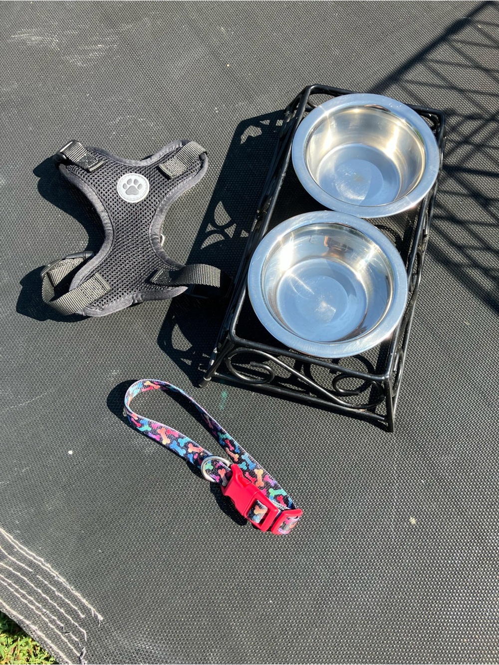 Black Raised Double Stainless Steel Dog Bowls with Stand , collar and harness